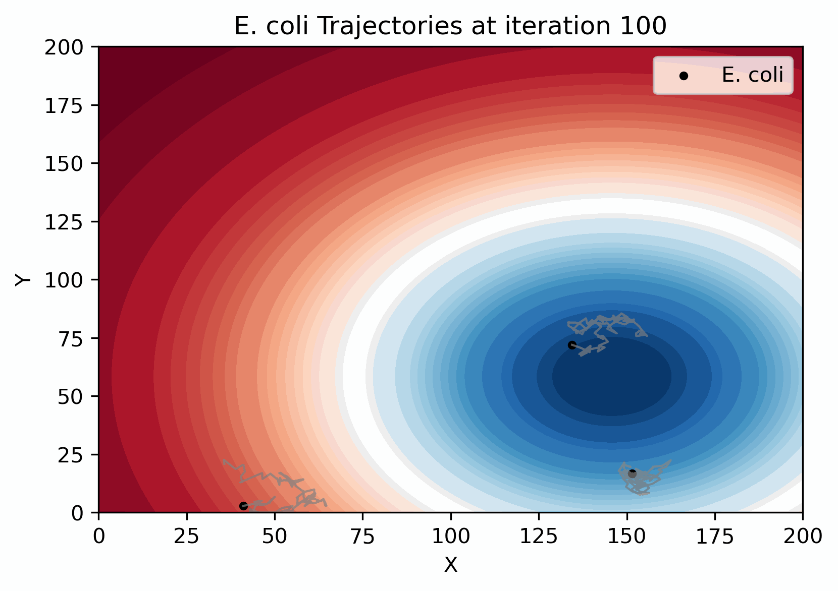 E. coli Chemotaxis Simulation